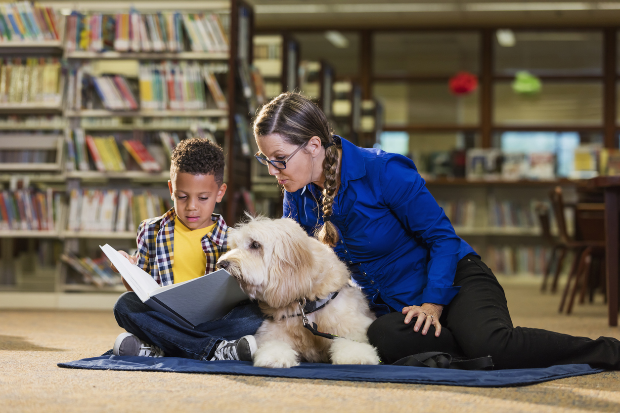 Building Readers – Colorado Libraries For Early Literacy